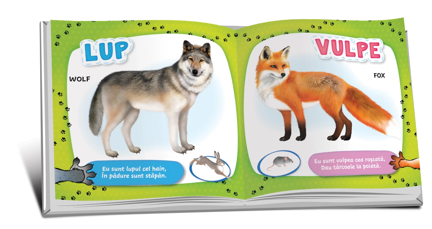 Cărți mici pentru pici - Animale sălbatice