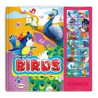 Sound book. Birds