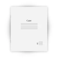 Caiet 12 foi patratele (Dorinta)