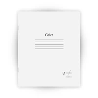 Caiet 12 foi linie oblica rara (Dorinta)